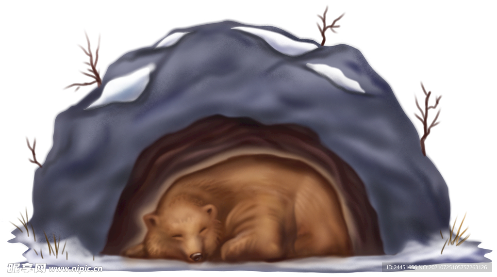 冬眠的熊