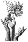 手捧花