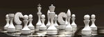 国际象棋