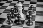 国际象棋