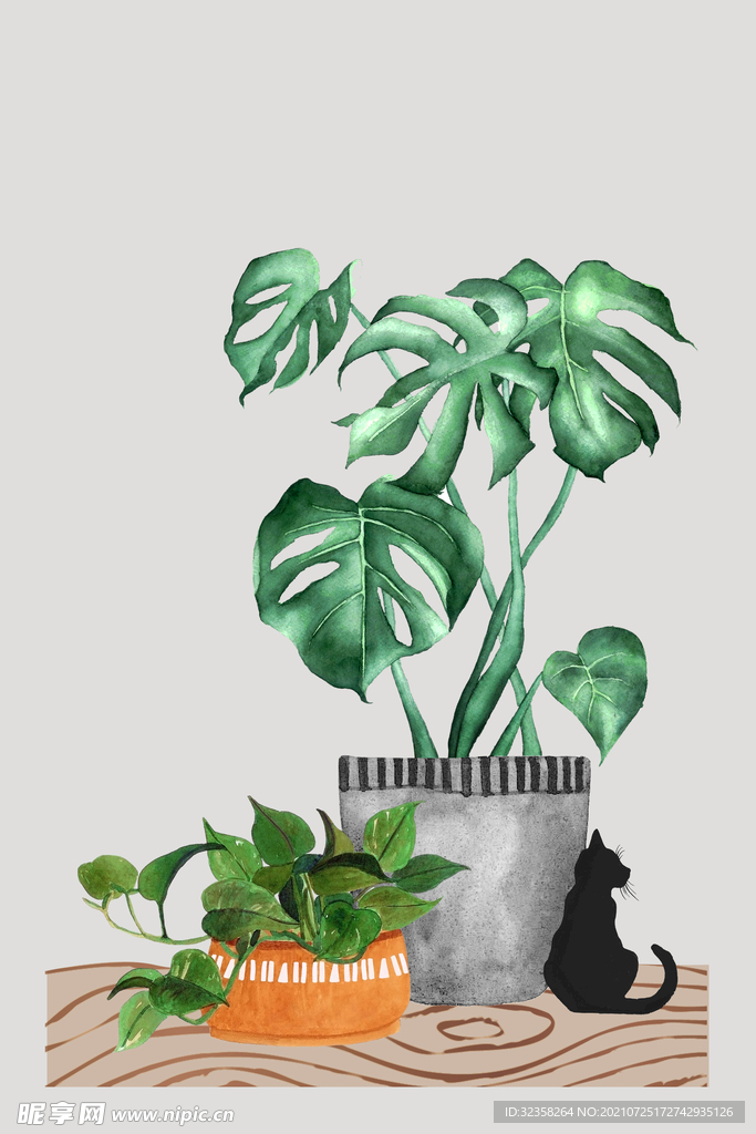 植物装饰画