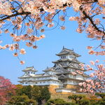 世界城市地标