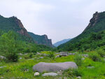丰景