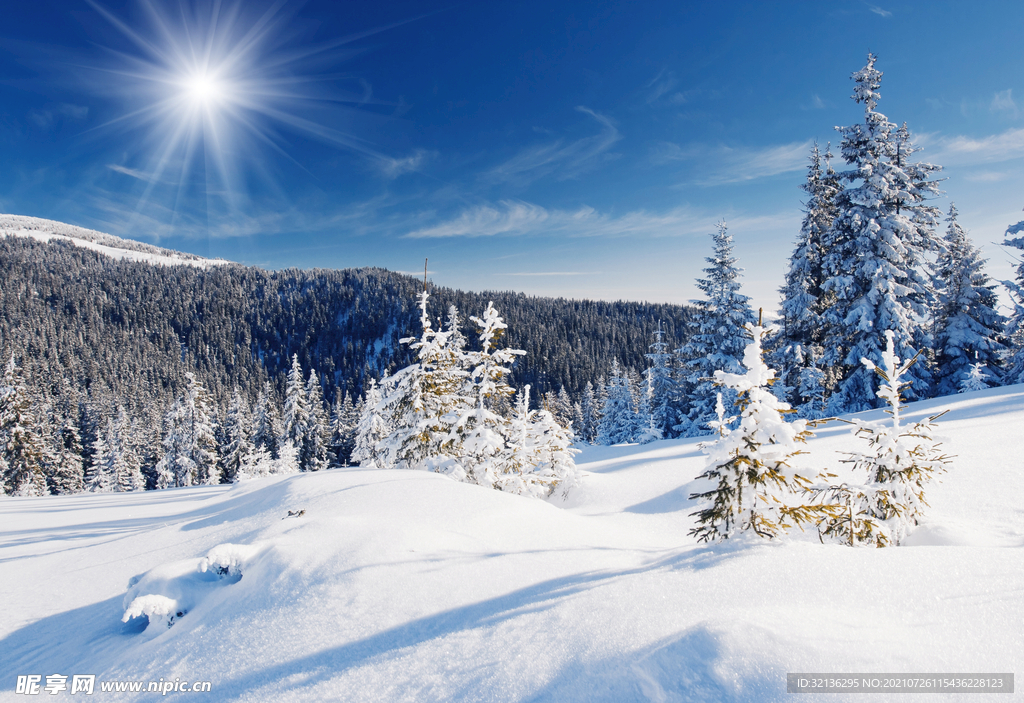 冬季雪景