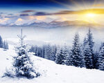 冬季雪景
