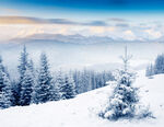 冬季雪景