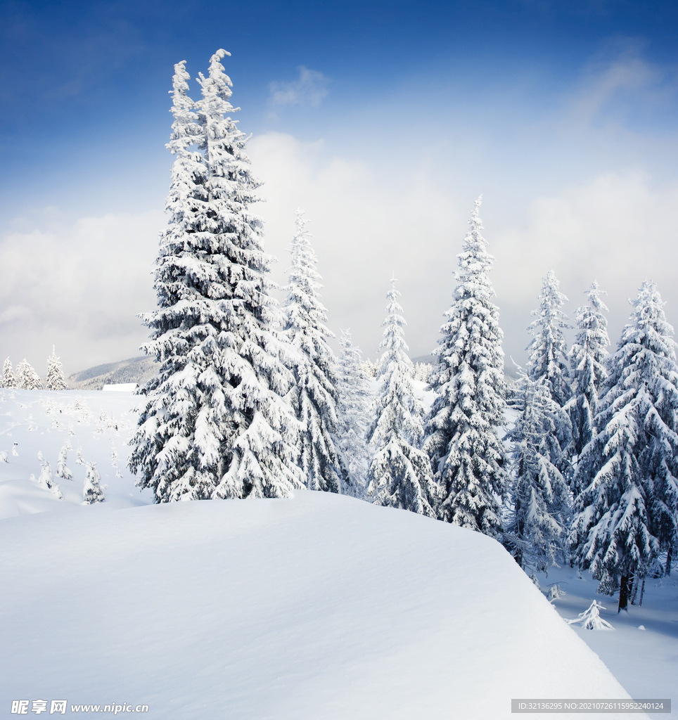 冬季雪景