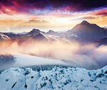 冬季雪景