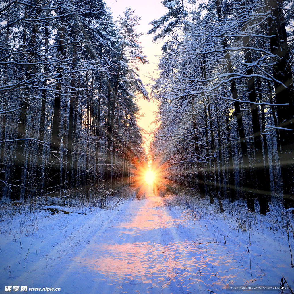 冬季雪景