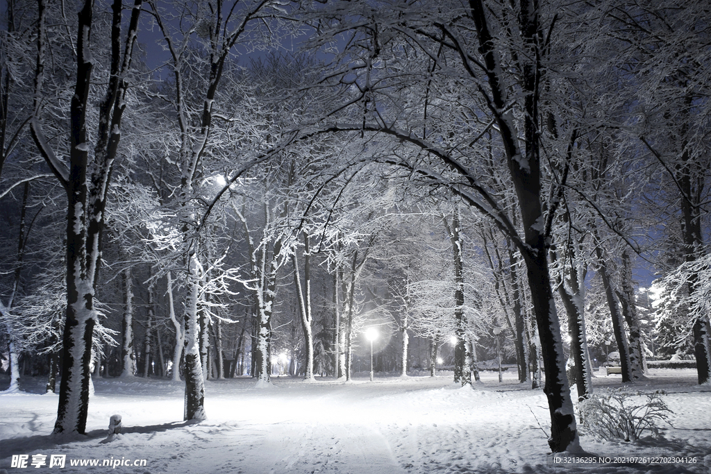 冬季雪景