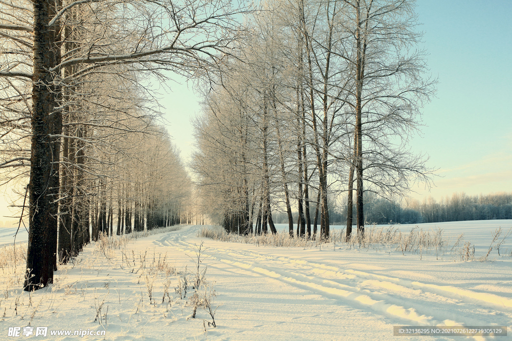 冬季雪景