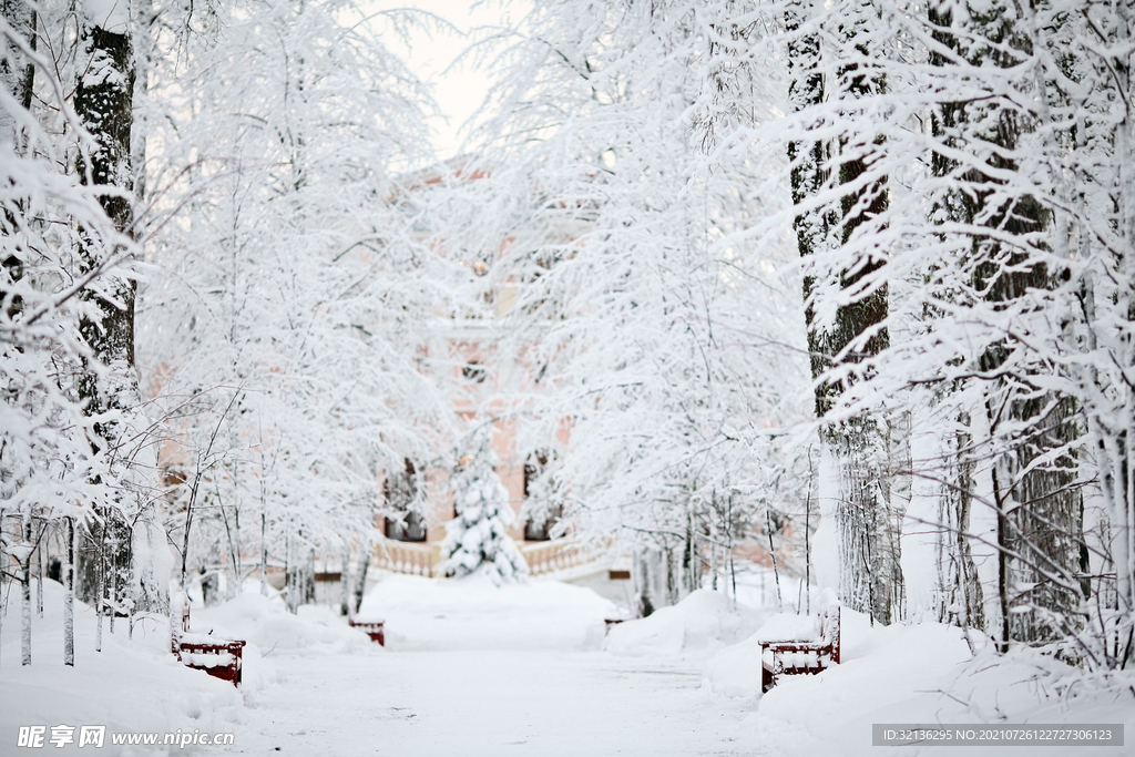 冬季雪景