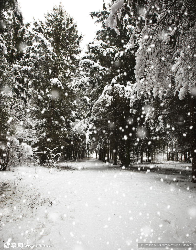 冬季雪景