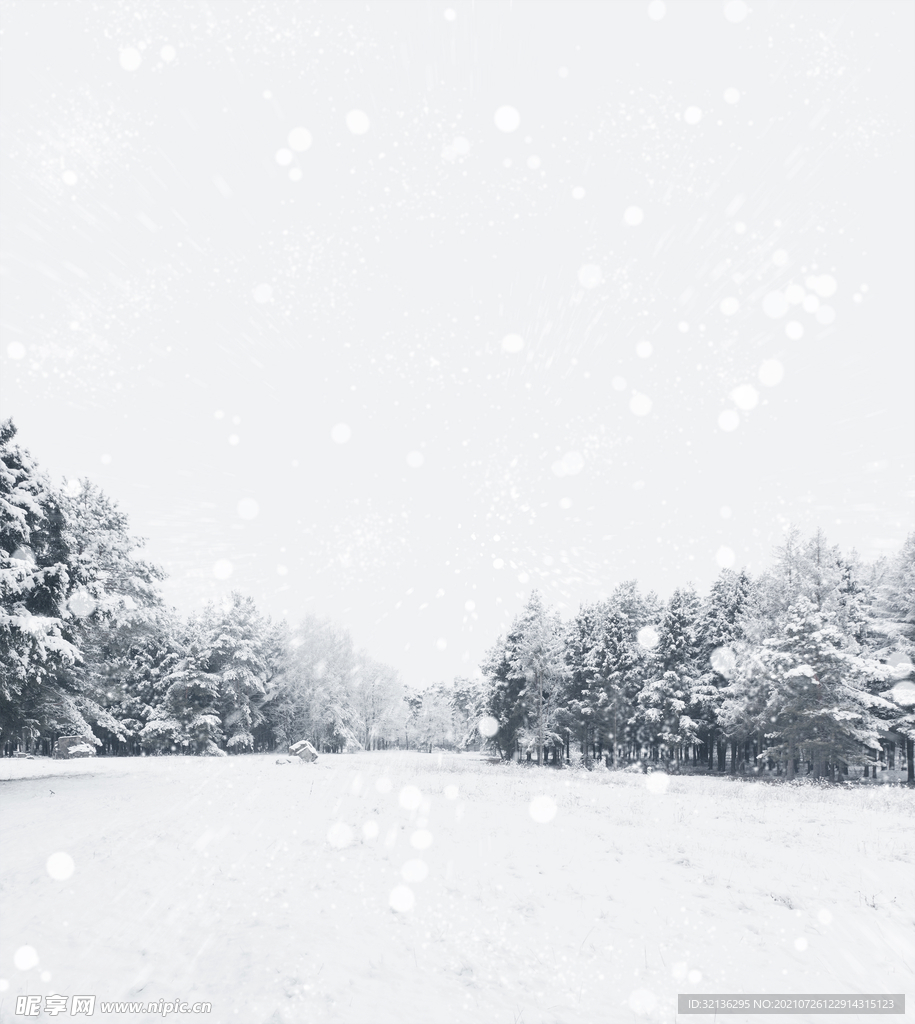 冬季雪景