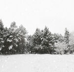 冬季雪景