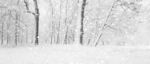 冬季雪景