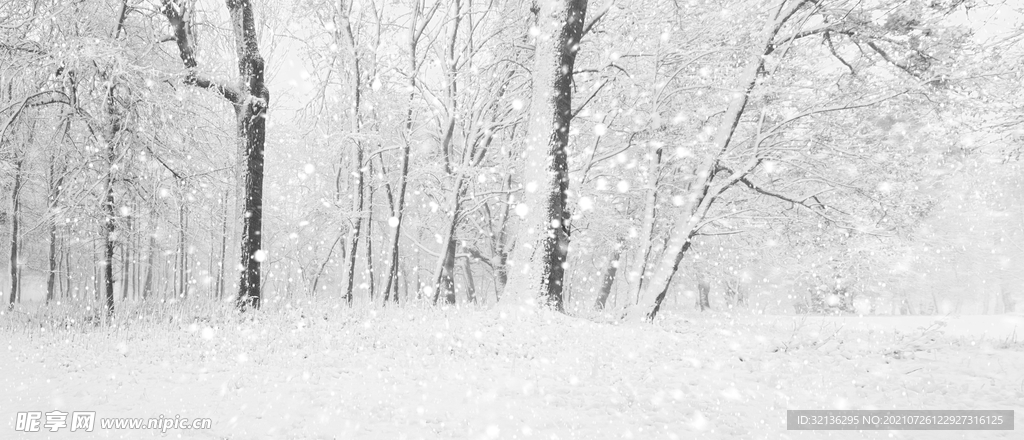 冬季雪景