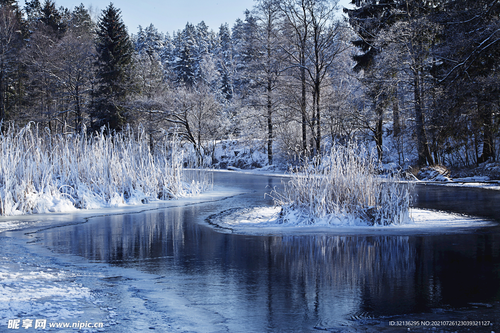 冬季雪景
