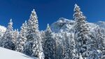 冬季雪景