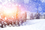 冬季雪景