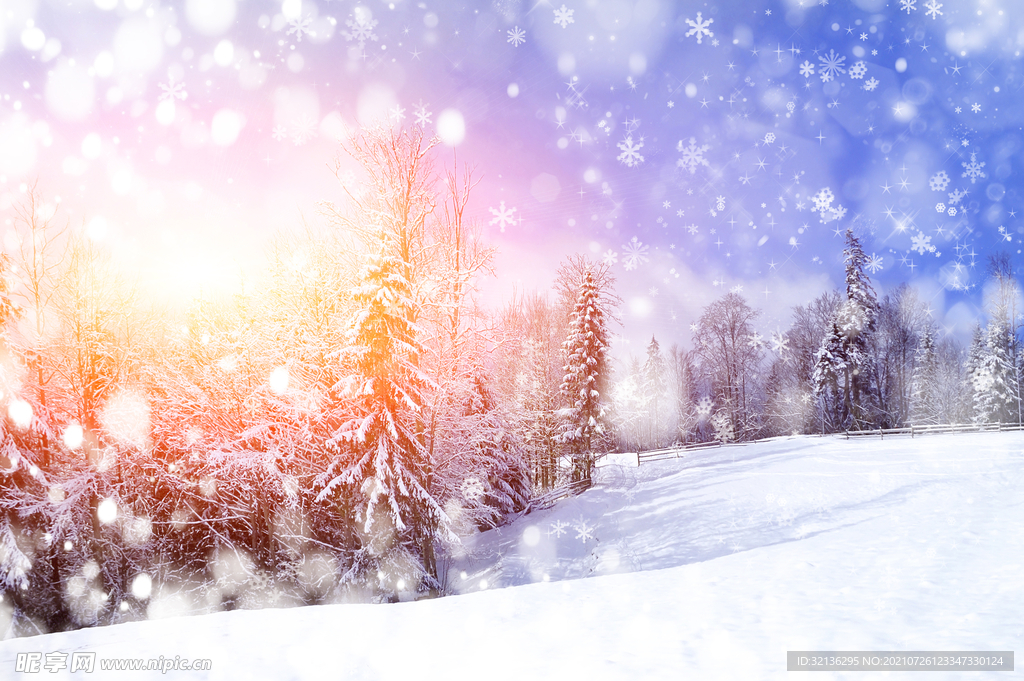 冬季雪景