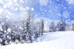 冬季雪景