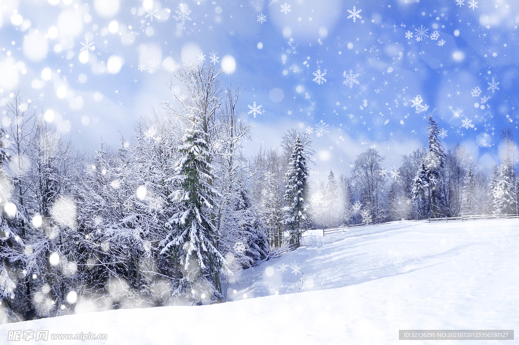 冬季雪景