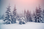 冬季雪景