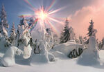 冬季雪景