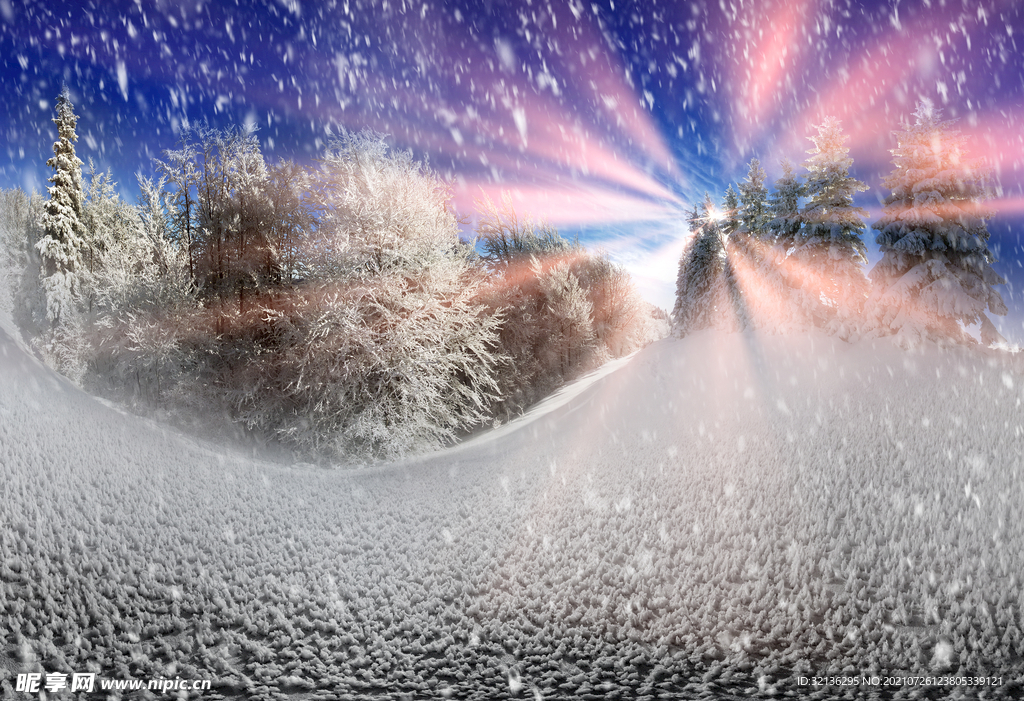 冬季雪景