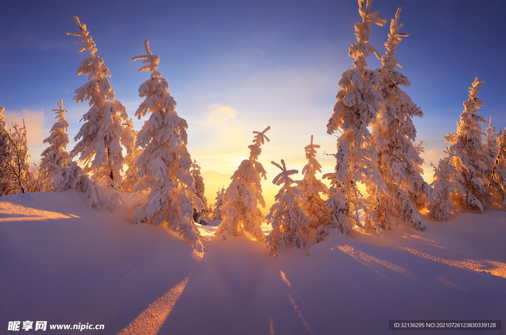 冬季雪景