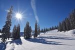 冬季雪景