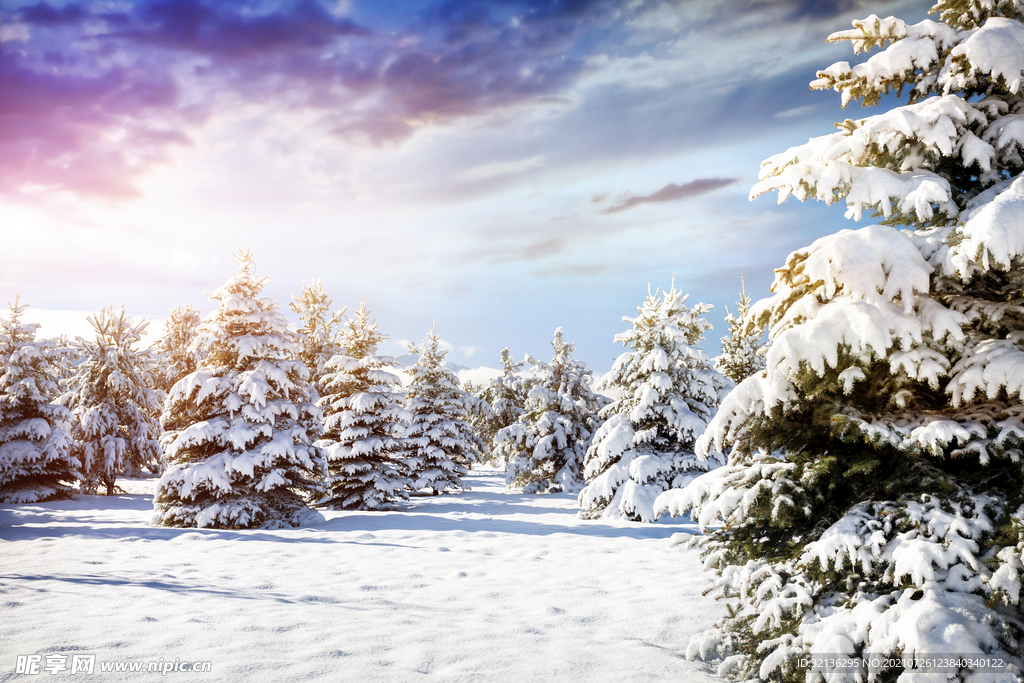 冬季雪景