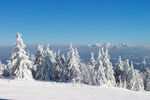 冬季雪景