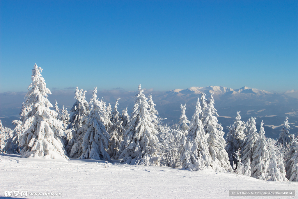 冬季雪景
