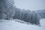 冬季雪景