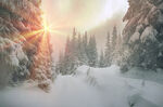 冬季雪景