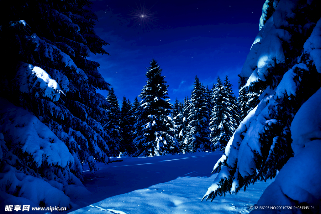 冬季雪景