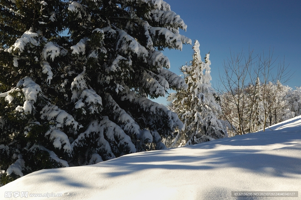 冬季雪景