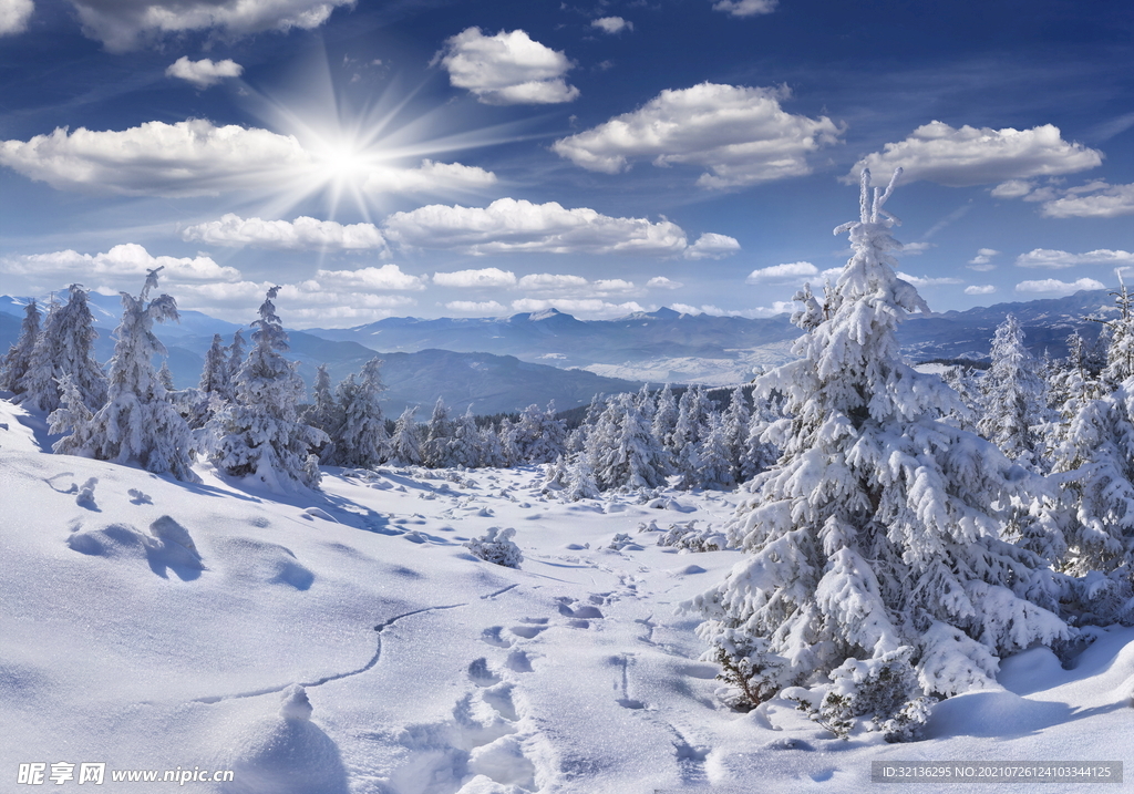 冬季雪景