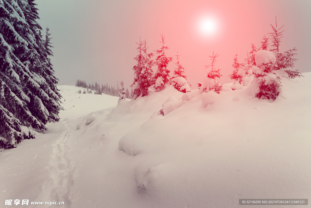冬季雪景