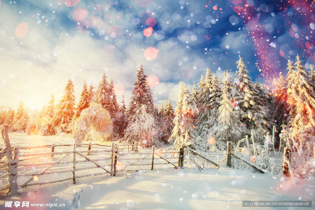 冬季雪景
