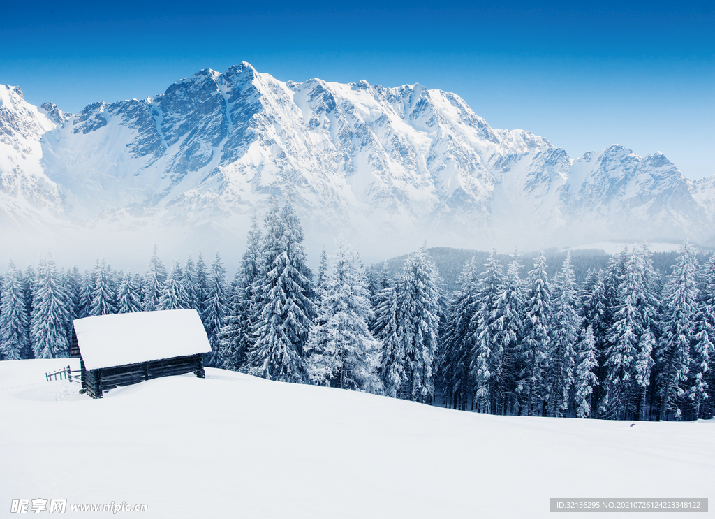 冬季雪景