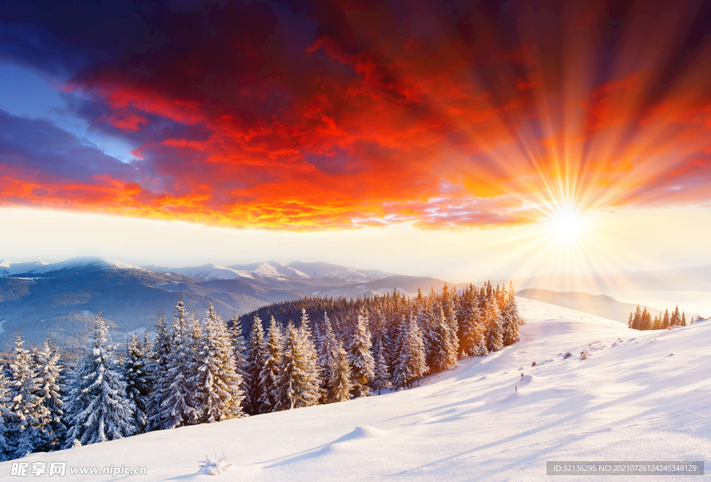 冬季雪景