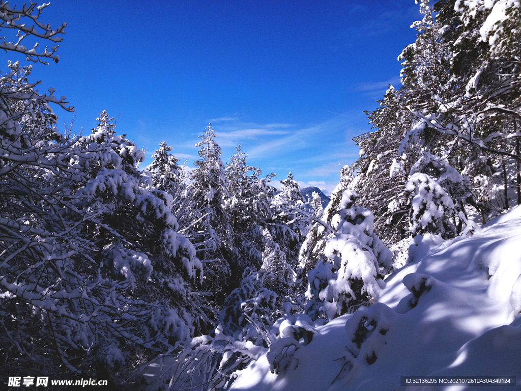 冬季雪景