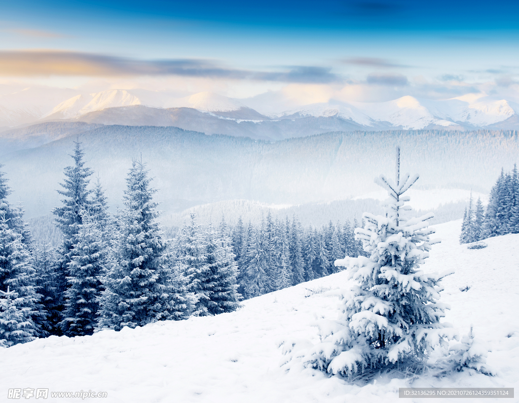 冬季雪景