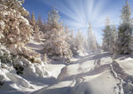 冬季雪景