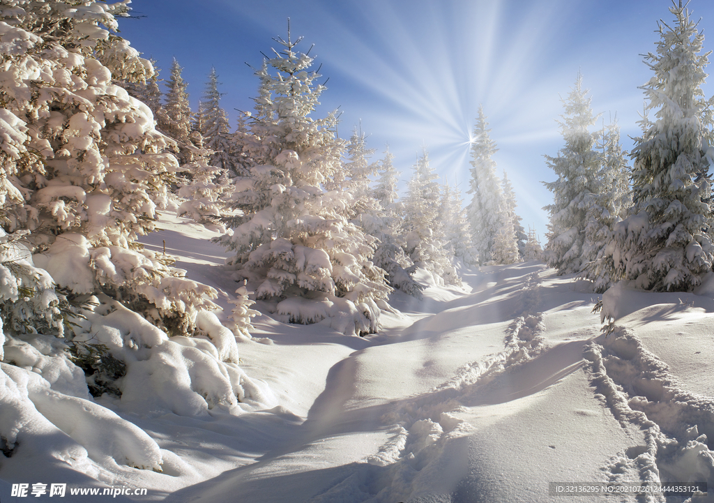 冬季雪景