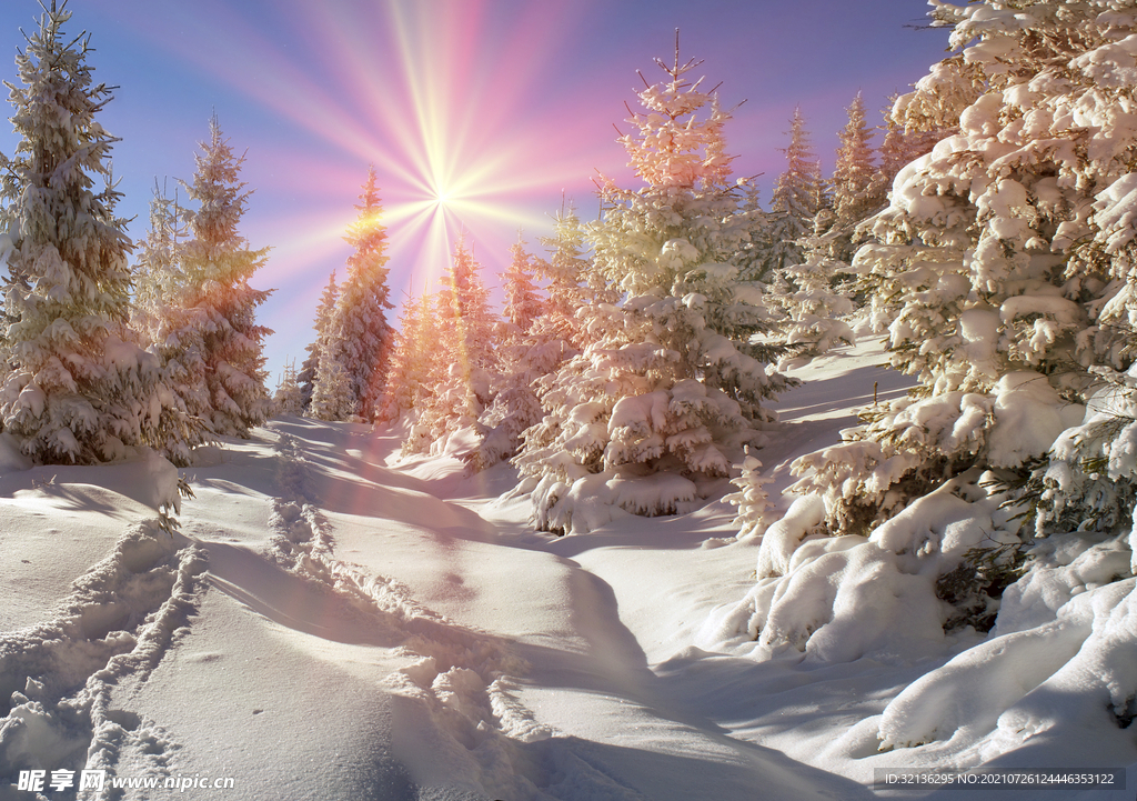 冬季雪景