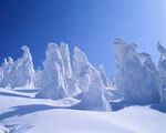 冬季雪景